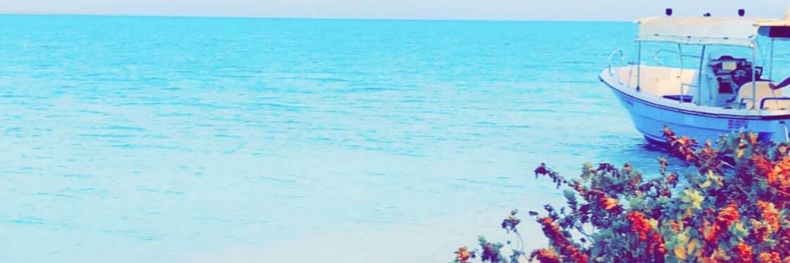 عبدالله الصبحي's banner