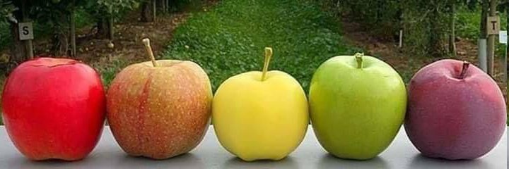 ÖZÜNE DÖNEN ALEVİ...'s banner
