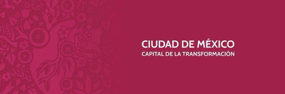 Metrobús CDMX's banner
