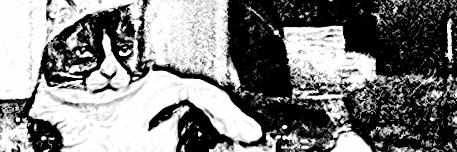 Joey Pfeifer's banner