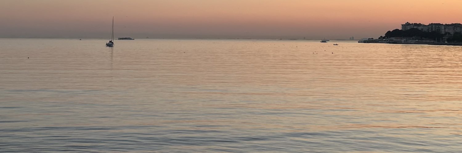 فرنگیس's banner