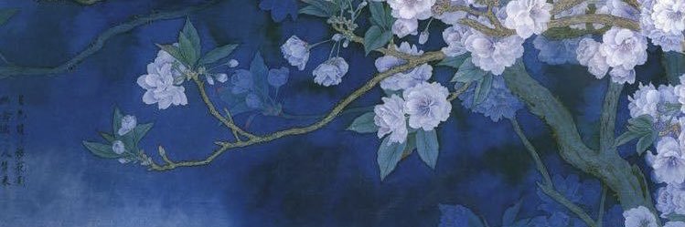 jay ✮'s banner