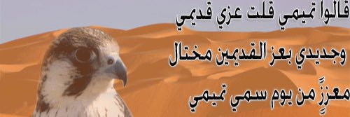 عبدالعزيز's banner