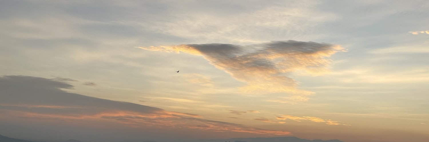 Arturo Serrano O.'s banner