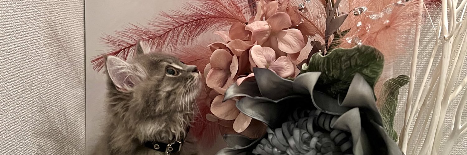 竹内 花's banner
