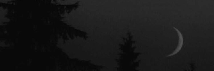 سعود بن مبارك's banner