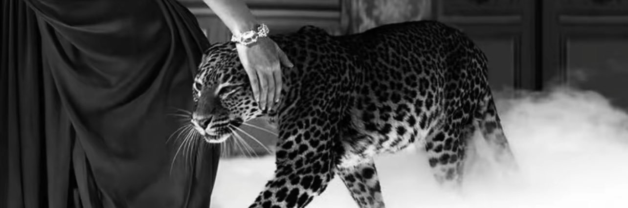 𝓩𝓪𝓲𝓷𝓪𝓪..'s banner