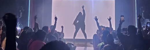 Nicki Jizz's banner
