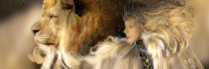 MaggieWise ⭐️⭐️⭐️'s banner