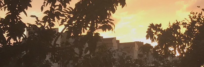 שחר יפה | Shahar Yoffe's banner