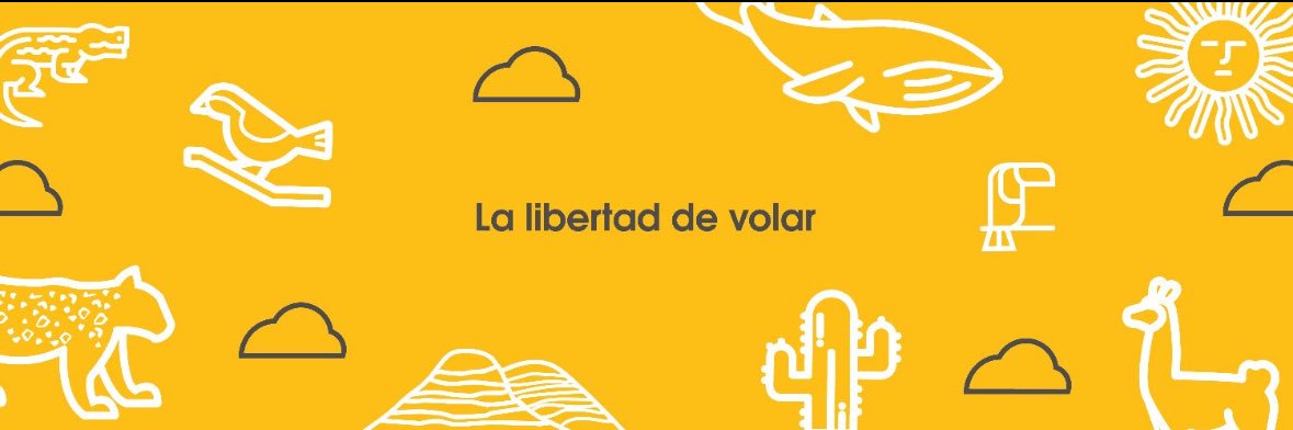 flybondi's banner