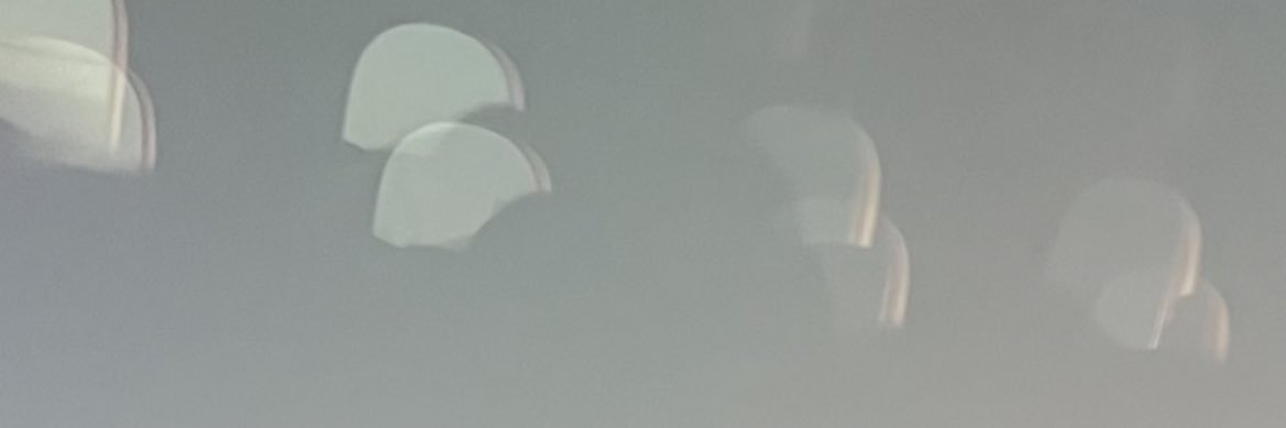 •᷄ɞ•᷅'s banner