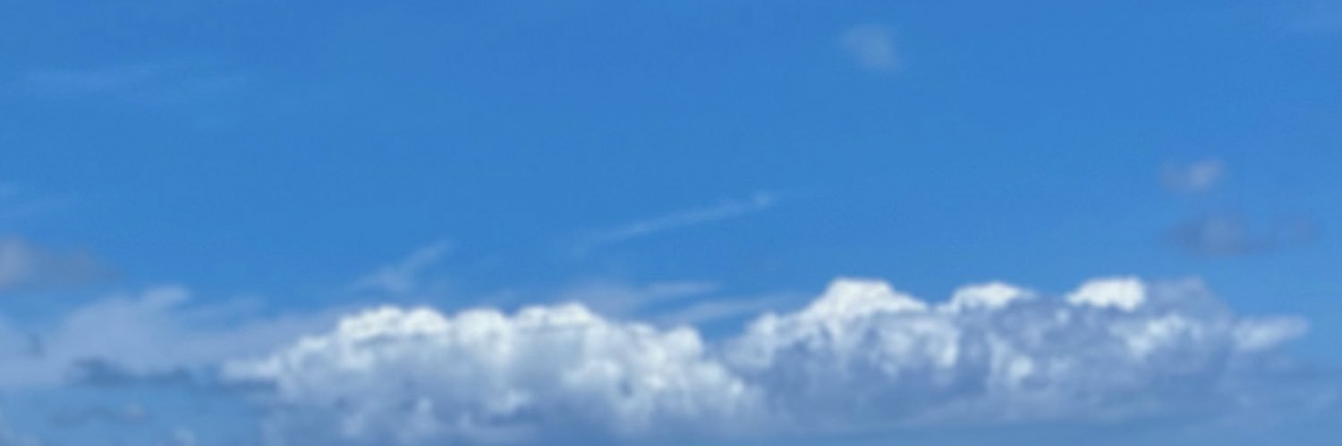 Henrique's banner