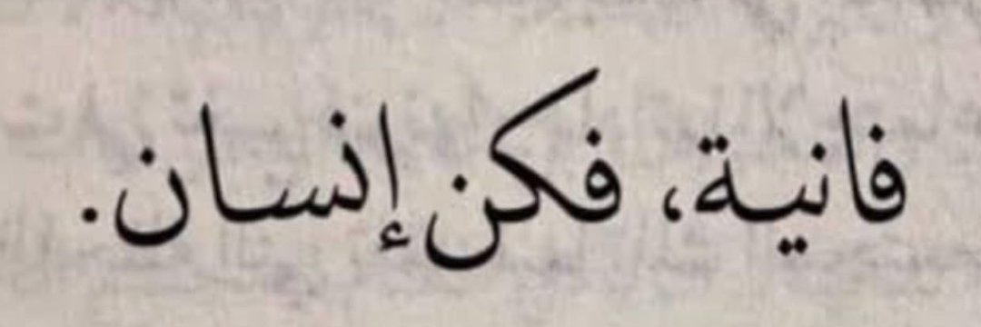 Deena Fakhouri 𓂆𓂀's banner