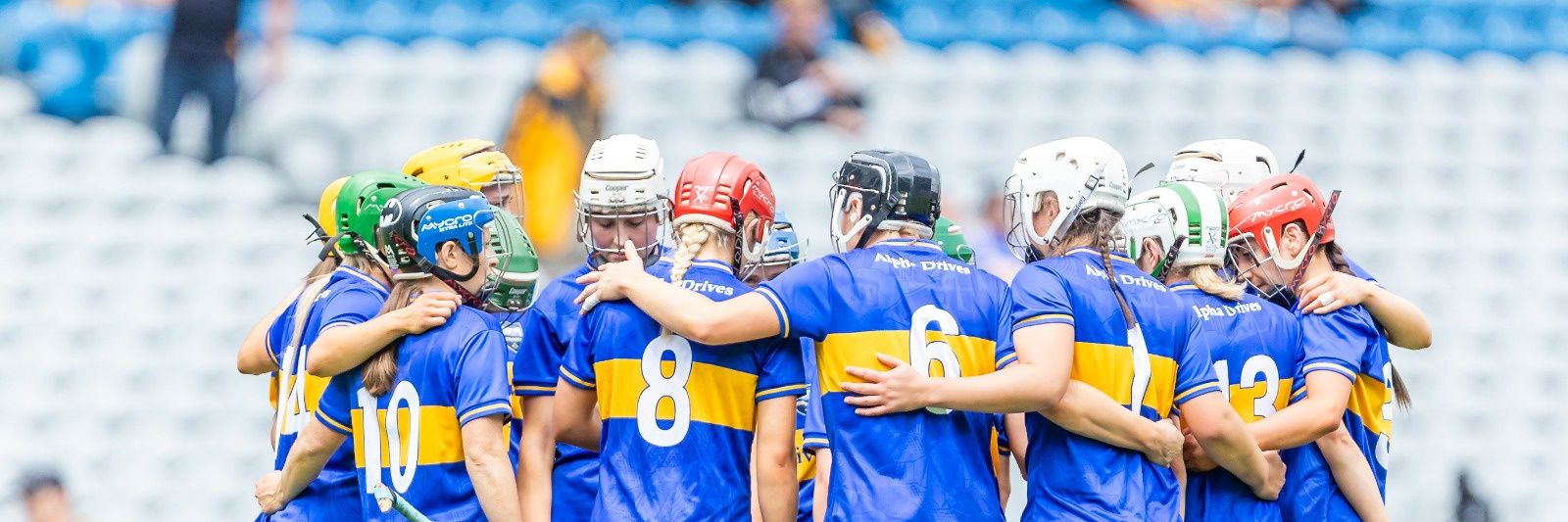 Tipperary Camogie's banner
