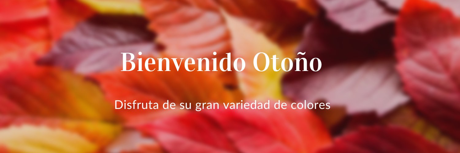 tiendasdelaestación's banner