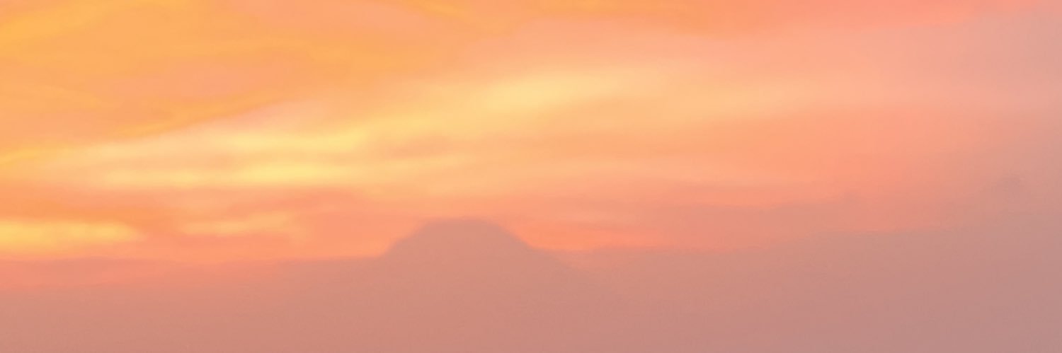 L over boi's banner