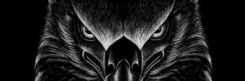 Beşiktaş'ın Çocukları's banner