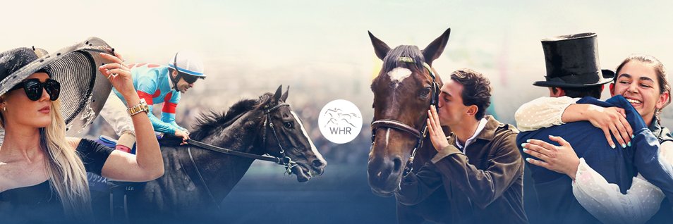 World Horse Racing's banner