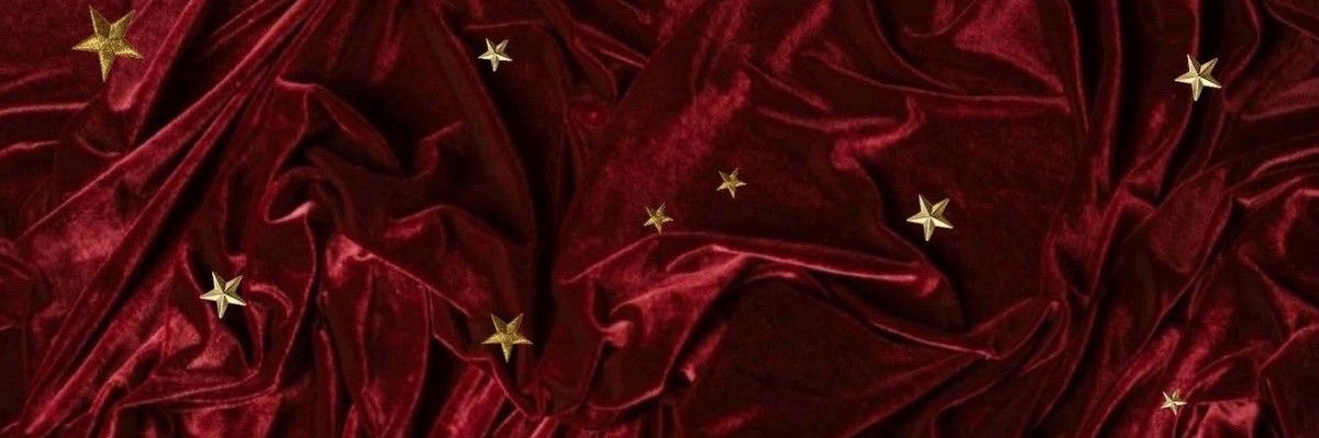 stardust/zoe⋆｡°✩'s banner