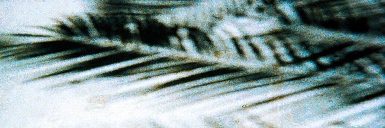 Dalton Conrad's banner