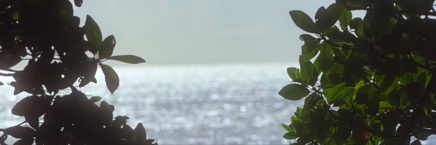 Poison 🕷️'s banner