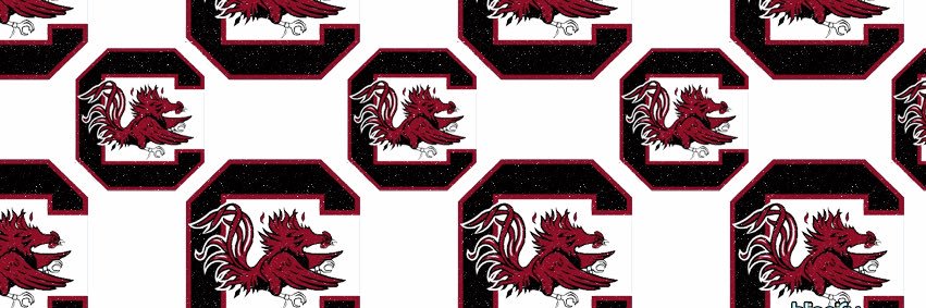 Old Row Carolina's banner