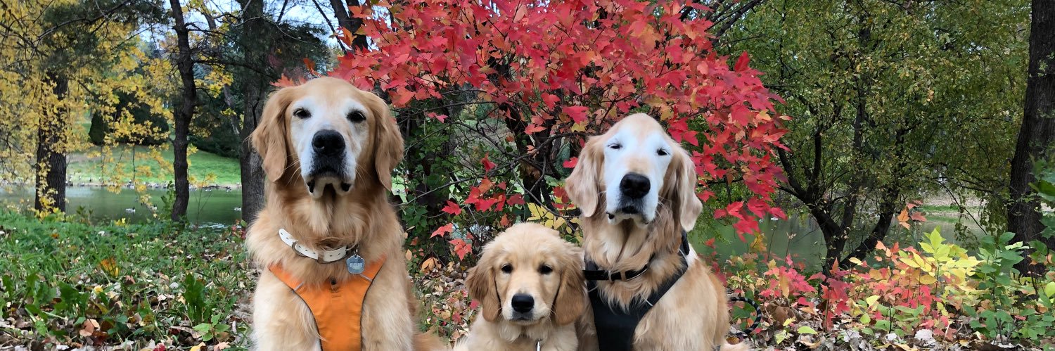 Darbi Jo The Golden's banner