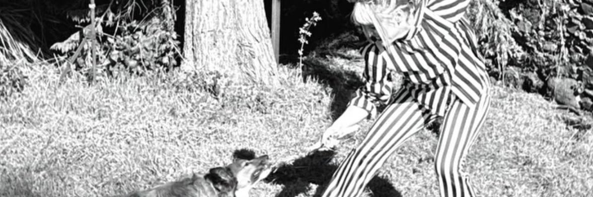 🫧 L. 🤟🏻's banner