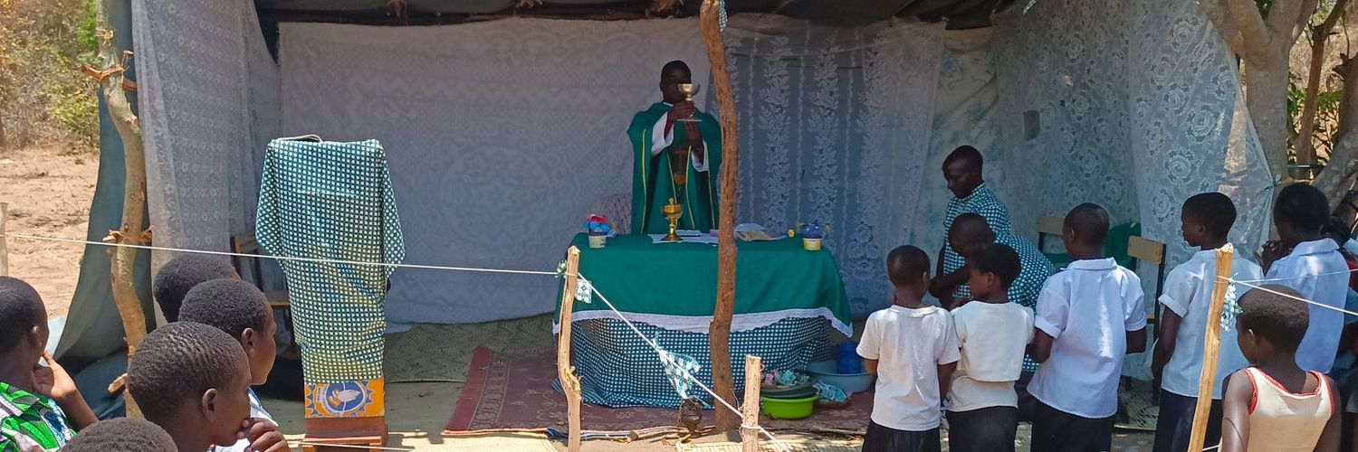 Rev. Fr. Petros Mwale's banner
