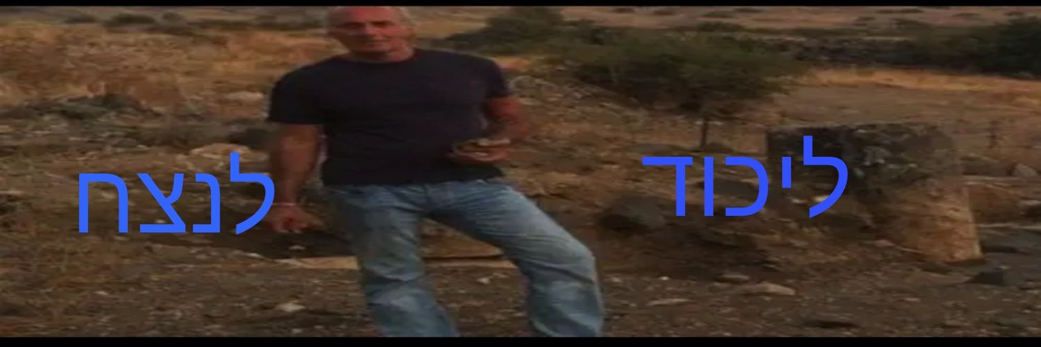 mosh משה 🇮🇱🇮🇱💙's banner