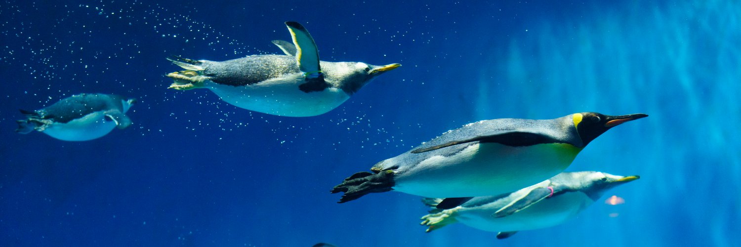 長崎ペンギン水族館【公式】's banner