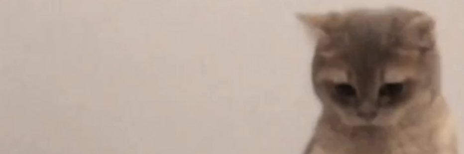 KAKTOAD_'s banner