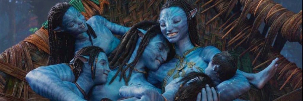 ava's banner