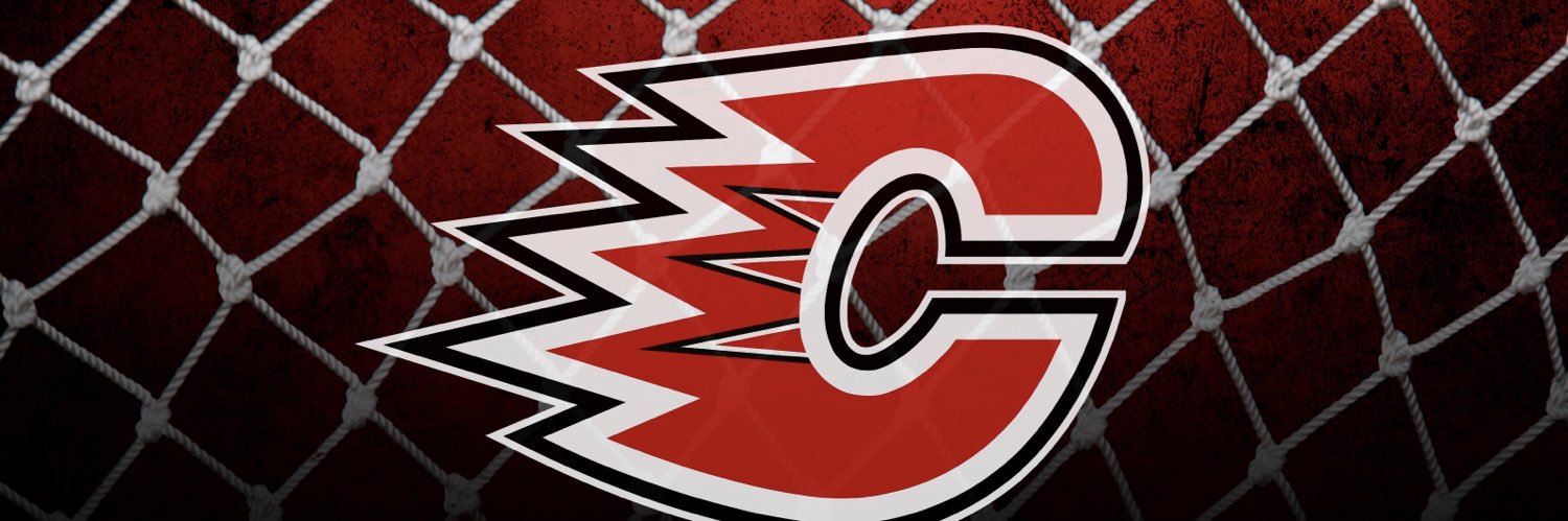 Centennial Hockey's banner