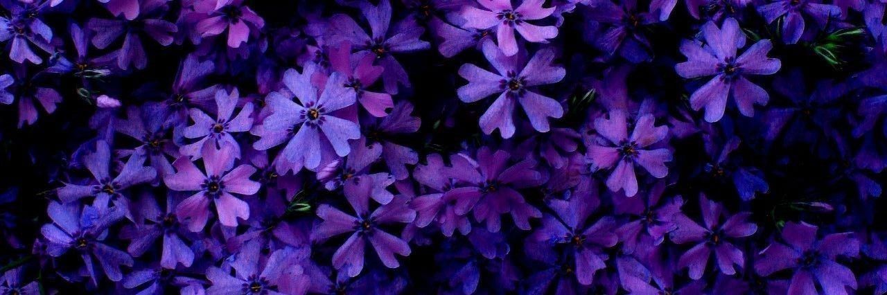 Jα·nvα·ry's banner