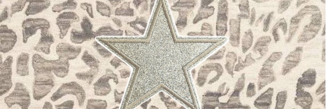 ⭑ MUSE 𖥔 ݁ ˖'s banner