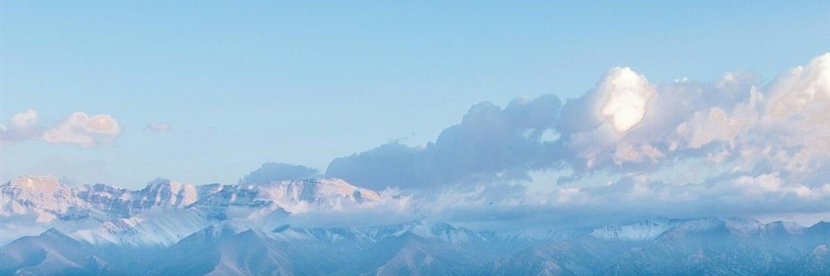 静之竹's banner