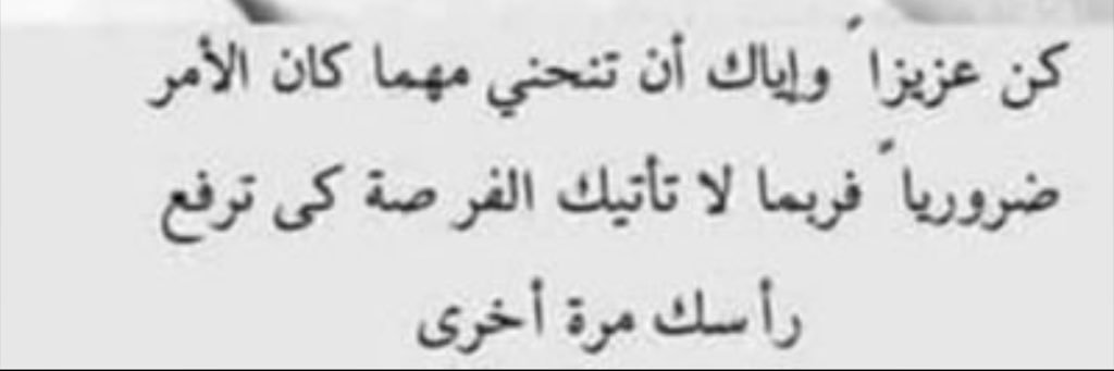ابو طلال 🇰🇼 🇵🇸🇸🇾's banner