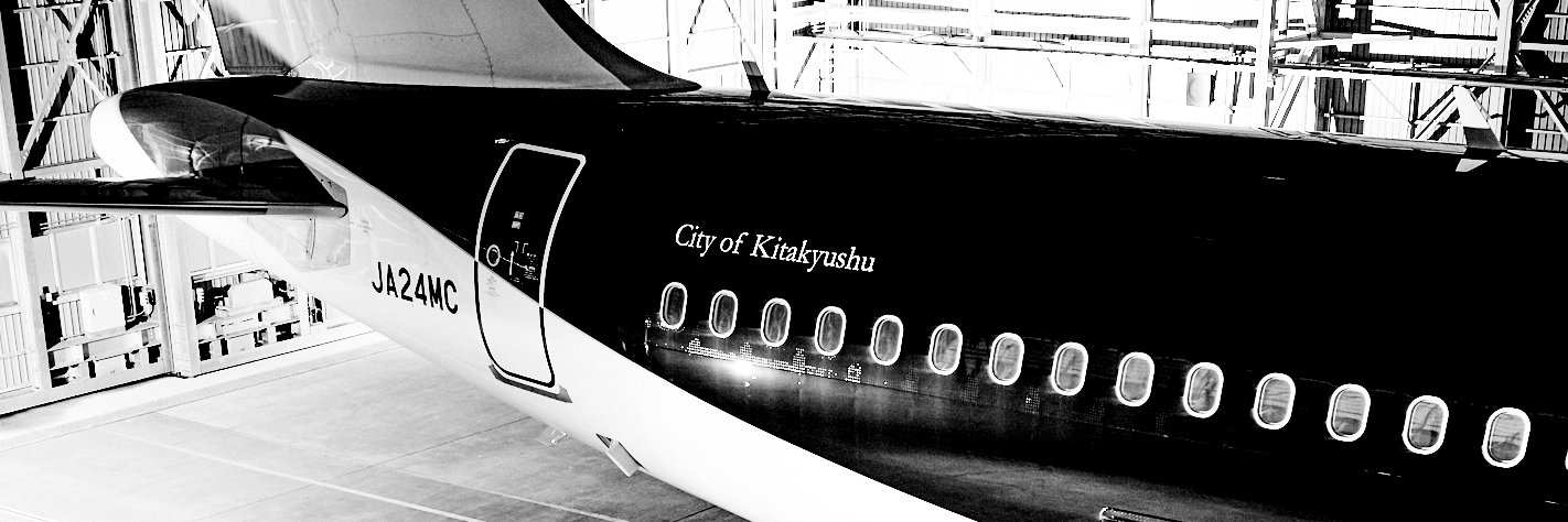 スターフライヤー's banner