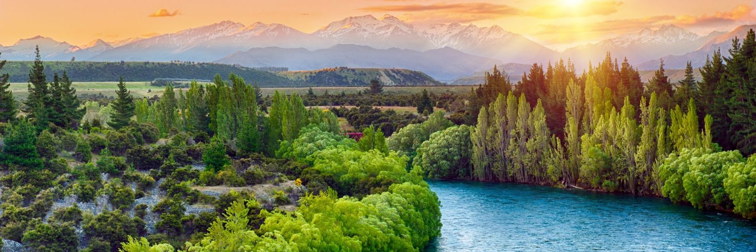nature care❤️'s banner