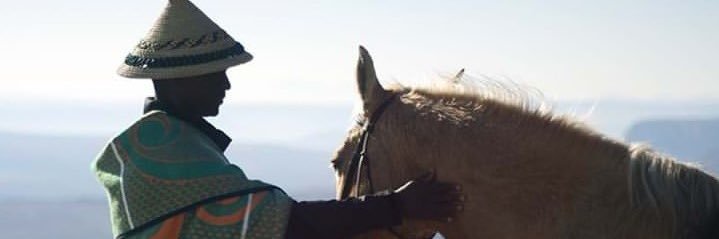 Saliou 🌗's banner