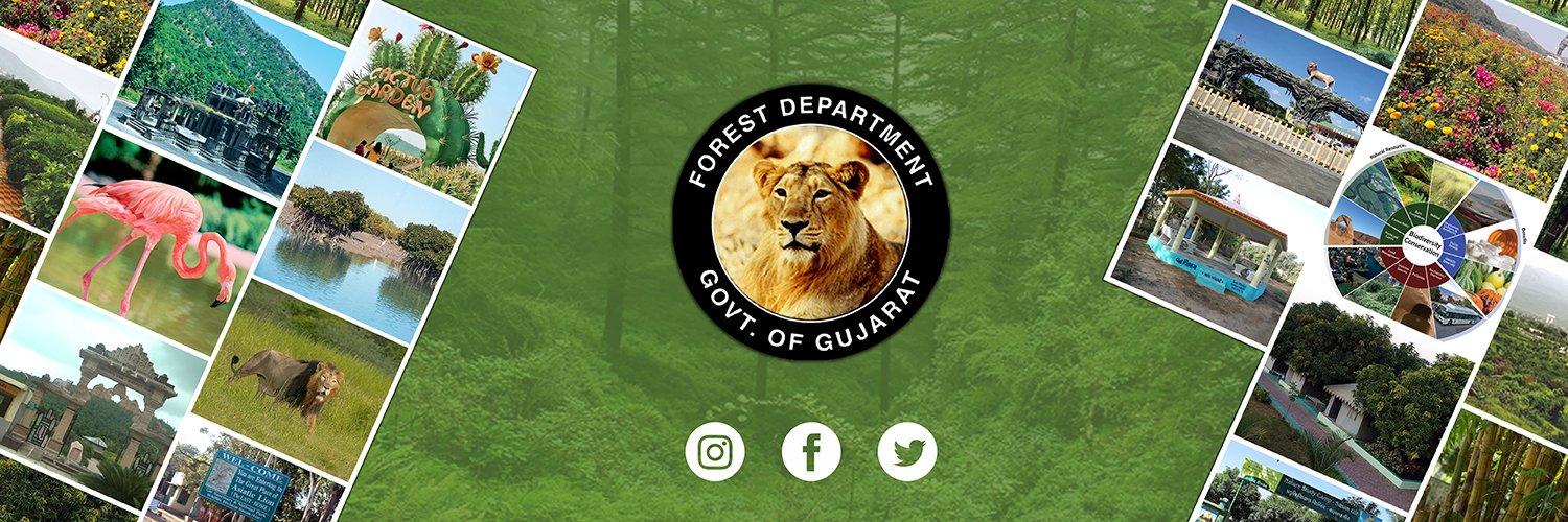 GujaratForestDept's banner