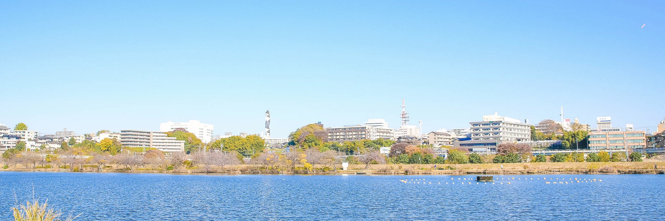 水戸経済新聞's banner