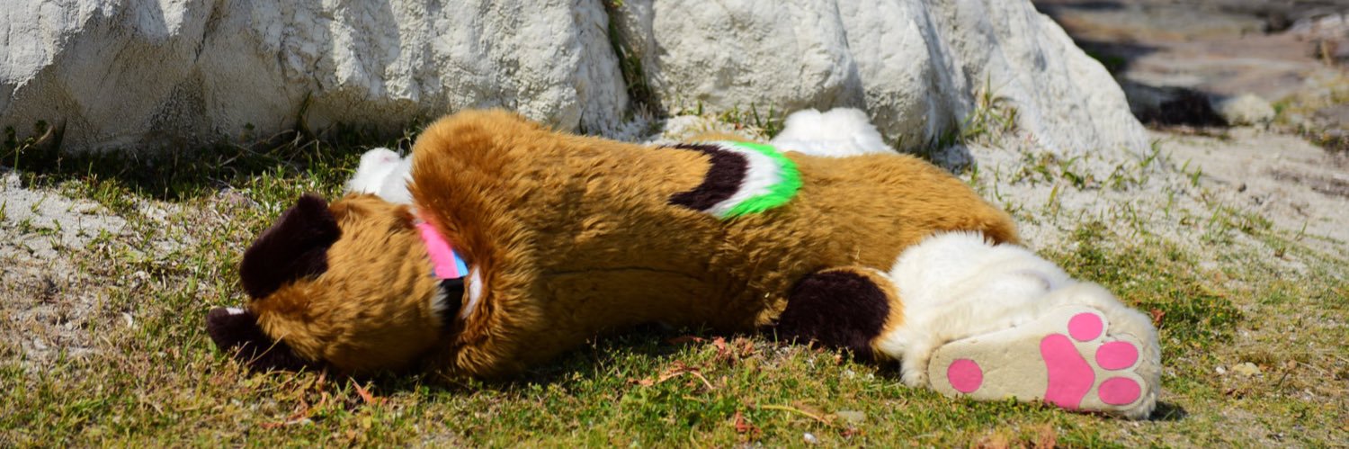 🌯TOTAN🌯's banner