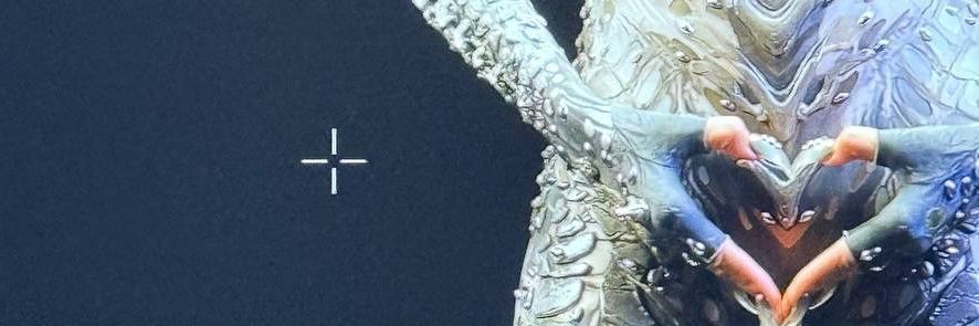 V's banner