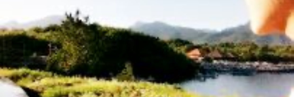 PUTRI CEBONG (IG:Putri_cebong.id)'s banner
