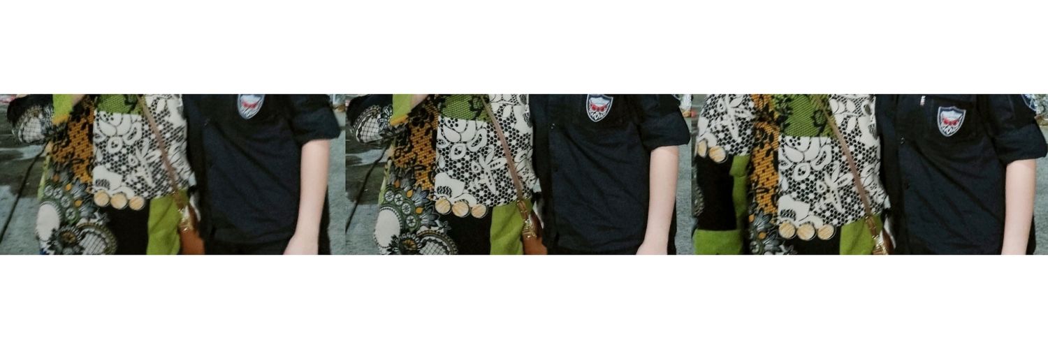 Dian S's banner