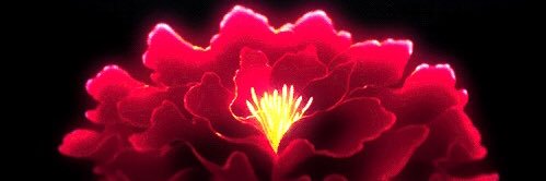M4rtinez's banner