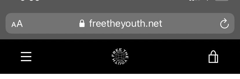 FREE THE YOUTH's banner